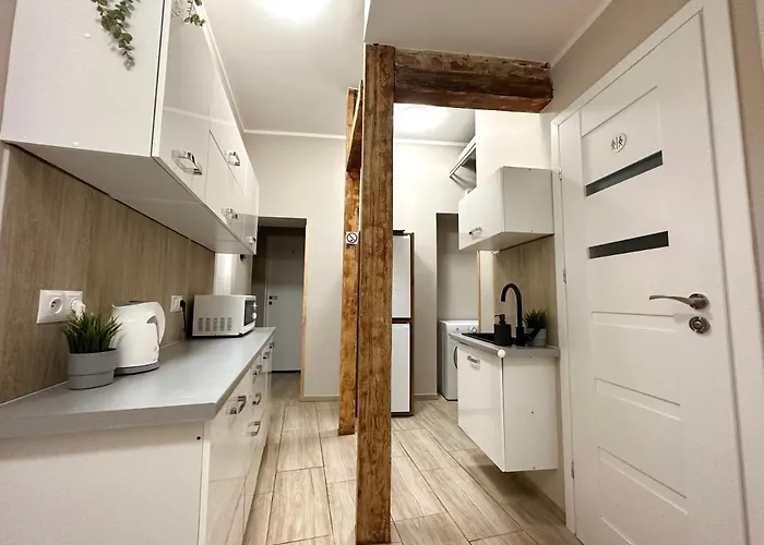 Mmrent One Way Проживание в семье *